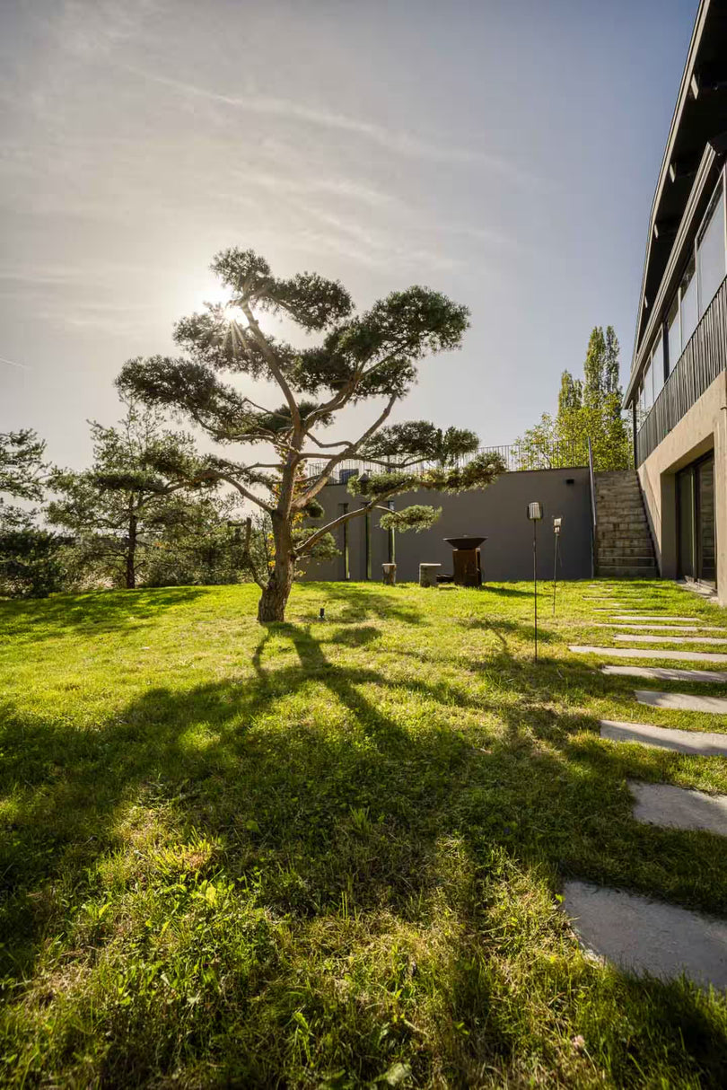Parenthèse Japonaise - Yoga, Spa d’exception & randonnée au bord du Lac d’Annecy en Mai