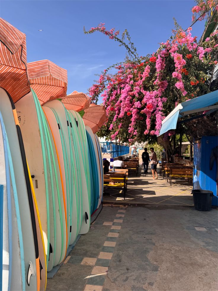 Voyage intérieur dans une villa d’exception au cœur d’Essaouira au Maroc