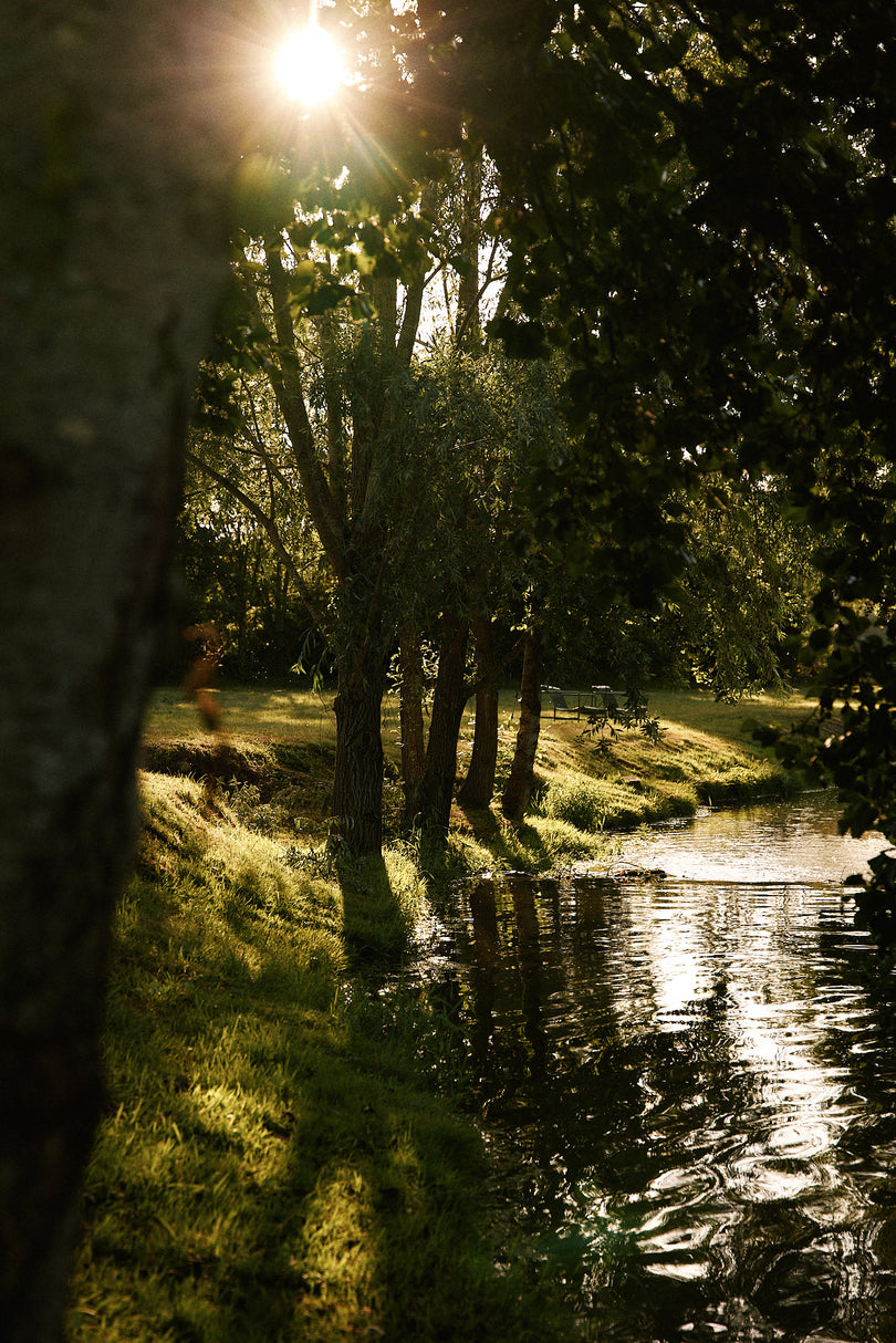 Revenir à l'essentiel, loin de la ville - Activités douces, rivière et cueillette en Bourgogne