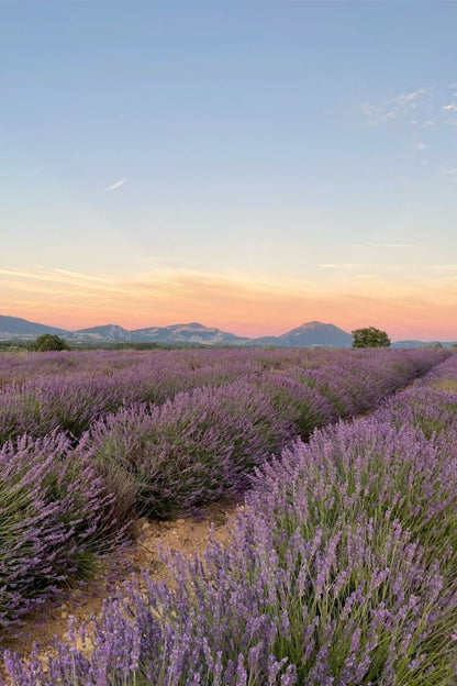 Pilates, alimentation saine & soleil — Ralentir et se reconnecter à soi en Provence