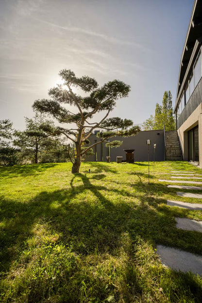 Yoga, Spa, Randonnée & Alimentation saine - Vue sur le Lac d’Annecy