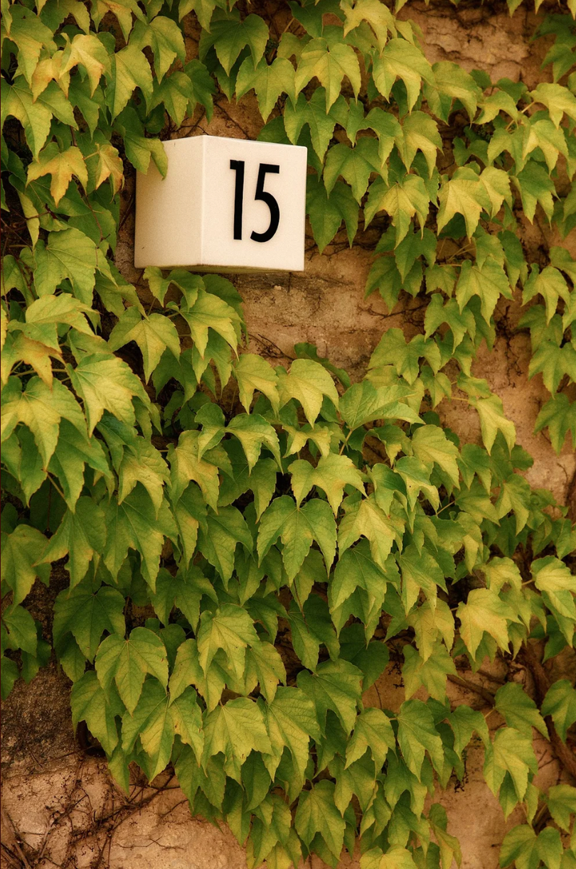 Revenir à l'essentiel, loin de la ville - Activités douces, rivière et cueillette en Bourgogne