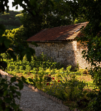 Revenir à l'essentiel, loin de la ville - Activités douces, rivière et cueillette en Bourgogne