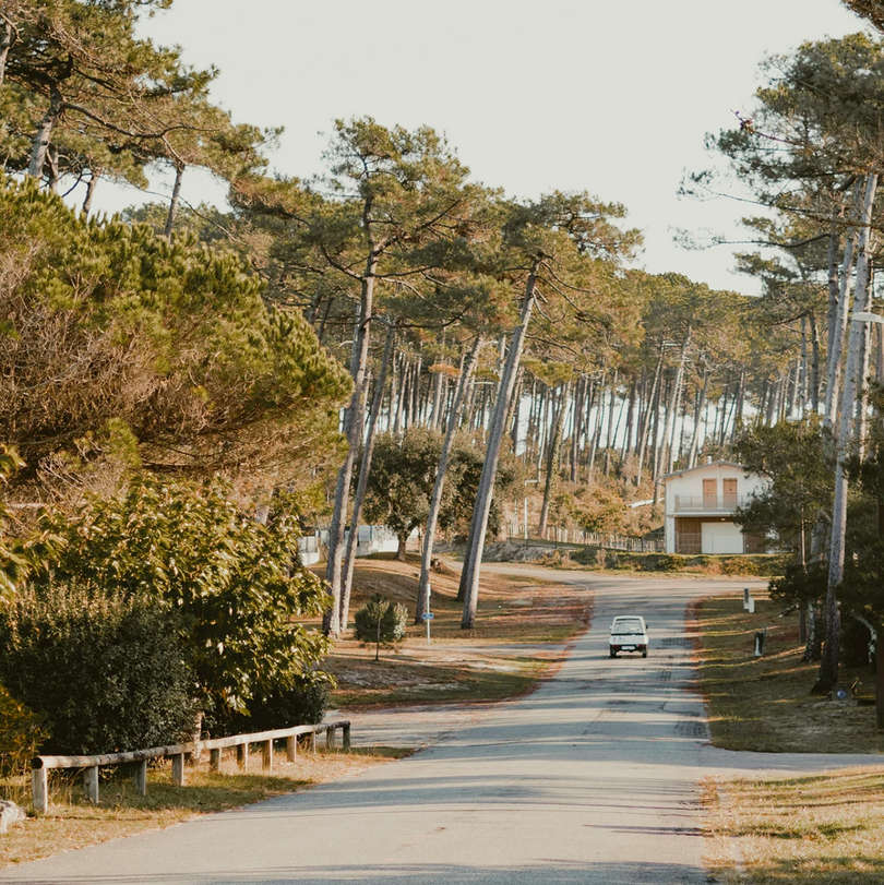 Entre pins et océan - Séjour ressourçant et reposant proche d'Arcachon