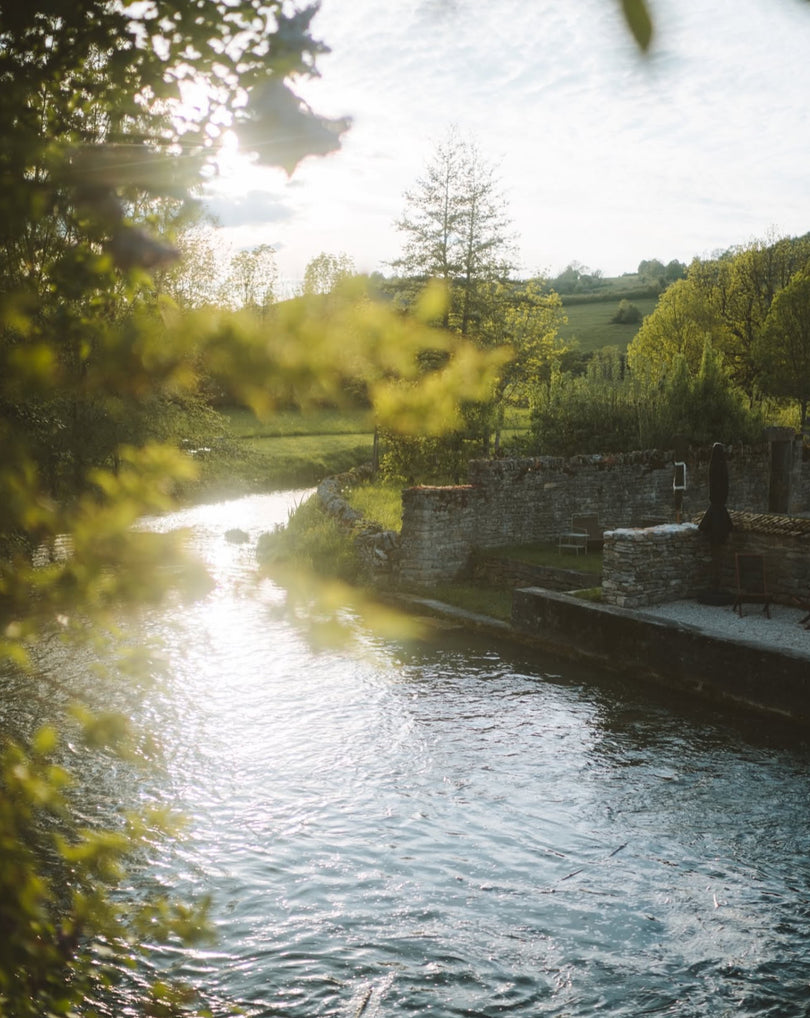 Revenir à l'essentiel, loin de la ville - Activités douces, rivière et cueillette en Bourgogne