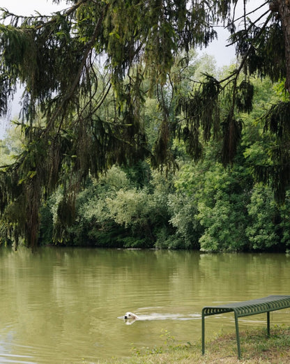 Revenir à l'essentiel, loin de la ville - Activités douces, rivière et cueillette en Bourgogne
