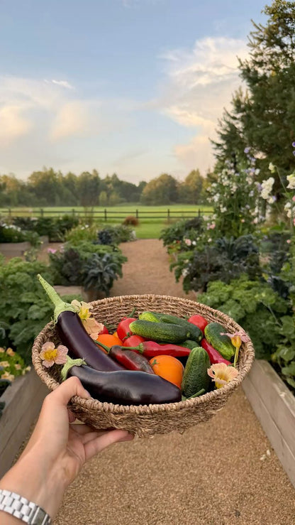 Revenir à l'essentiel, loin de la ville - Activités douces, rivière et cueillette en Bourgogne
