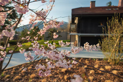Yoga, Spa, Randonnée & Alimentation saine - Vue sur le Lac d’Annecy