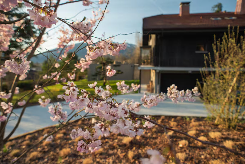 Yoga, Spa, Randonnée & Alimentation saine - Vue sur le Lac d’Annecy